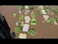 Minot Flood - Blackhawk Flight