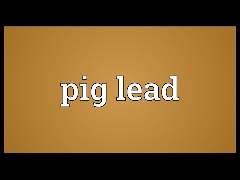 Header of pig lead
