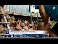 BAZNAS News | 4 Februari 2020 BAZNAS News | 4 Februari 2020