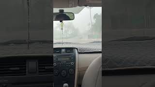 Foggy Morning