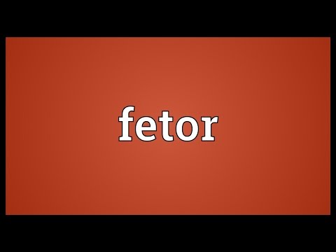 Header of fetor