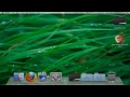 Using a microphone on mac - youtube