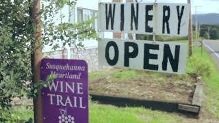 The Red Shale Ridge Vineyards In Hegins Pa 17938