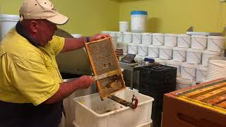 Watch Apiary Extract video