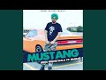 Mustang (feat. Banka)