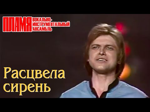 Все видео