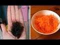 Say Goodbye to Hair Loss: Russian Recipe for Strengthening Hair Roots