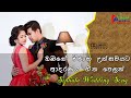 Sinhala Romantic Song Volume 4