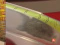 strong glue repair
