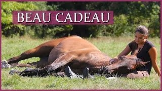 NOTRE RECONFINEMENT ANTIDÉPRIME - Avec un merveilleux moment