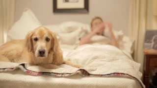 Man's Best Friend