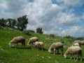 IGHIL IGOULMIMENE