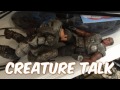 creature