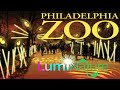 Philadelphia Zoo LumiNature 2021