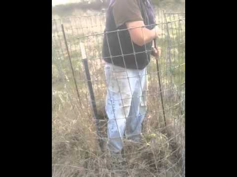 video23.mov: Lime idge oaks Video video23.mov: Lime idge oaks Video