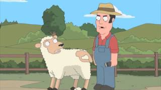 Sheep Shearing