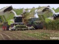 tracteurs agricoles d'exeption