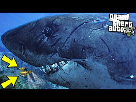 МЕГАЛОДОН НАПАЛ НА МЕНЯ! КАК УБИТЬ ДРЕВНЮЮ АКУЛУ ГТА 5 МОДЫ! ОБЗОР МОДА В GTA 5! ИГРЫ ГТА ВИДЕО MODS МЕГАЛОДОН НАПАЛ НА МЕНЯ! КАК УБИТЬ ДРЕВНЮЮ АКУЛУ ГТА 5 МОДЫ! ОБЗОР МОДА В GTA 5! ИГРЫ ГТА ВИДЕО MODS