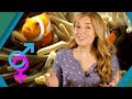 Animal Sex Changes | Earth Unplugged