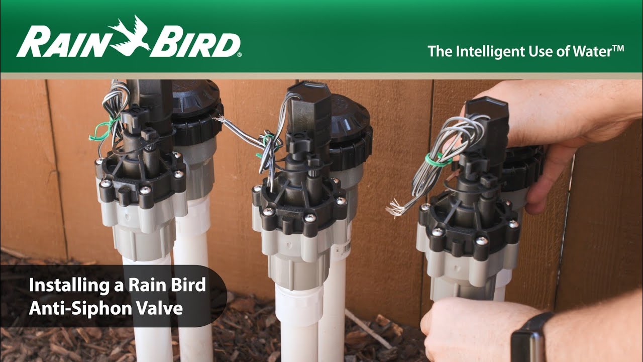 Installing a Rain Bird Residential Anti-Siphon Valve