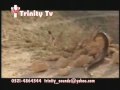 Masihi Geet -Haneri Te Toofan Sare