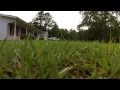 Aerial Shots