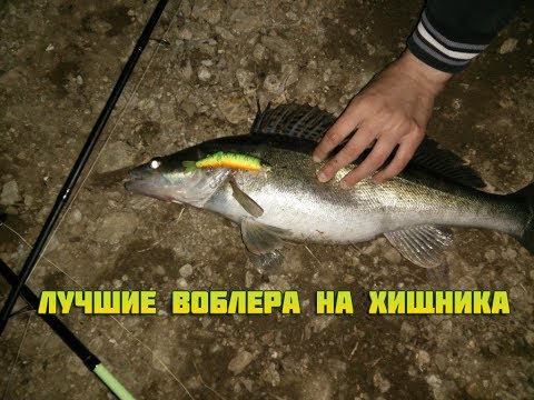 видео как выбрать воблер на щуку видео как выбрать воблер на щуку