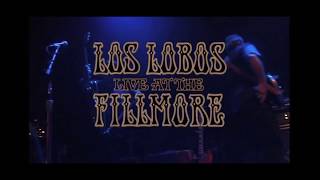 Watch Los Lobos The Big Ranch video