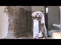 aplicar gesso