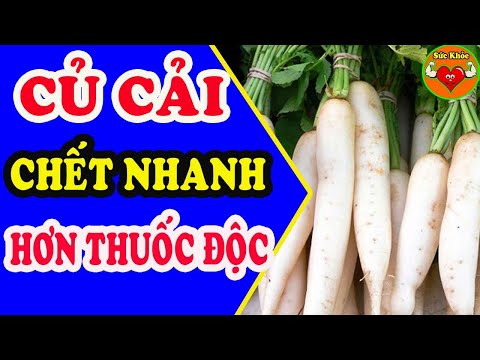 Củ Cải Trắng Cực Độc Nhanh Chết Hơn UNG THƯ, Ăn Kiểu Này Chết Ngay Tại Chỗ