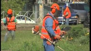 Видео ЖК для военных на ул. Калинина в Краснодаре сменил управляющую компанию от Телеканал «Краснодар», улица Калинина, Краснодар, Россия
