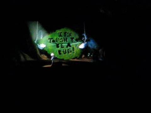 YUCK! It#39;s Tough To Be A Bug disneyland california adventure rides. YUCK! It#39;s Tough To Be A Bug