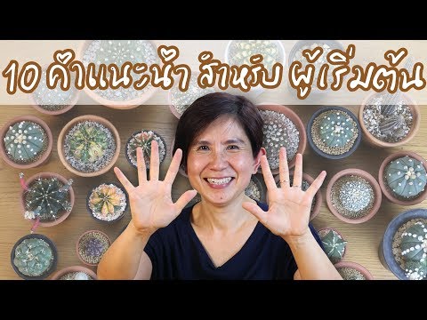 มือใหม่แคคตัส : 10 คำแนะนำสำหรับผู้เริ่มต้นเลี้ยงแคคตัสค่ะ | Cactus Journey EP.29