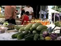 Video Farmer's Market - Sebastopol, CA - 7-29-2012 -pt1