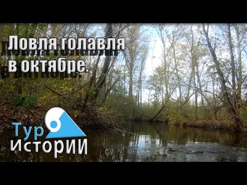 тур истории рыбалка тур истории рыбалка