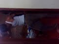 image Penari Striptease Ala Bogor