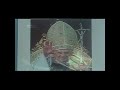 Reptilian Illuminati 1 of 3 Bloodline? Shock (NWO) President Obama New World Order