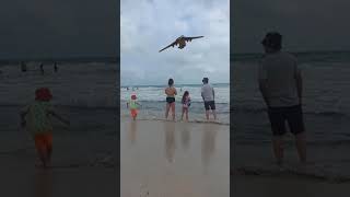 E3Awacs Pilot - Majorca Beach