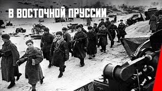 В Восточной Пруссии (Фронтовой Выпуск № 11) (1945) Фильм