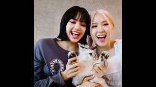 Li̇sa Ve Rosé Ji̇soonun Helyum Şarkisini Söylüyor Loui̇si̇n Zor Anlari