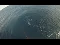 Fishing Spinning Metal Slugs For Skip Jack Tuna - Go Pro HD