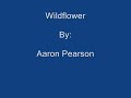 Wildflower Video preview