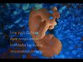 Perkembangan Janin Dalam Rahim Ibu Youtube images Perkembangan Janin Dalam Rahim Ibu Youtube
