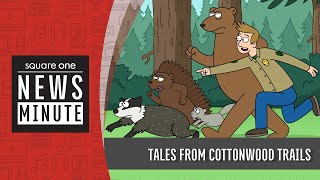 S1 NEWS MINUTE | Tales from Cottonwood Trails