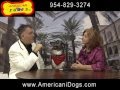 Ameerican Idogs Bark to the future Clip