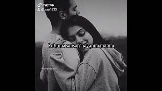 Talıb Talecanım Menim
