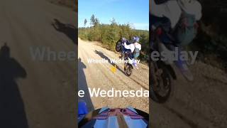 Just Out For A Rip Bro