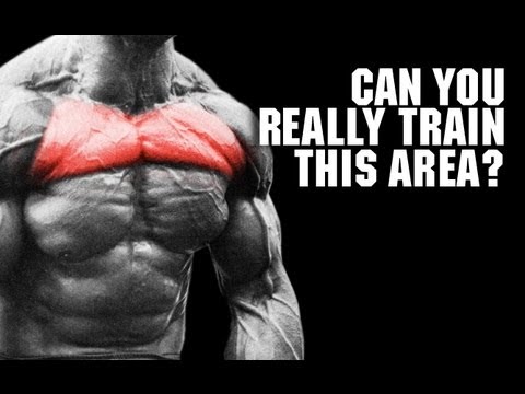 Target Your UPPER CHEST (Pec Isolation Reality!!)