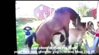 Tshuaj muaj zog or Tshuaj muaj zug #1 Tshuaj muaj zog or Tshuaj muaj zug #1