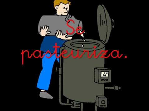 COMO ES EL PROCESO DE LA LECHE como es el proceso de la leche: